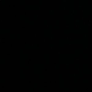 Meet your Posher, Janey